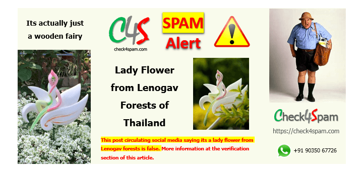 lady flower lenogav forests thailand hoax