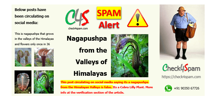 nagapushpa hoax