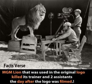 MGM logo lion killed trainer spam