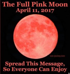 Pink Moon picture spam