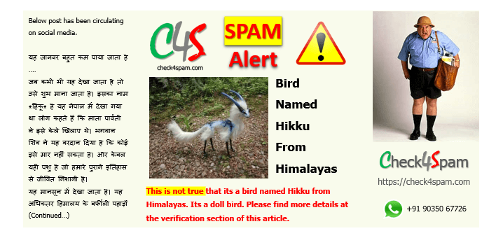 Bird named Hikku Himalayas spam