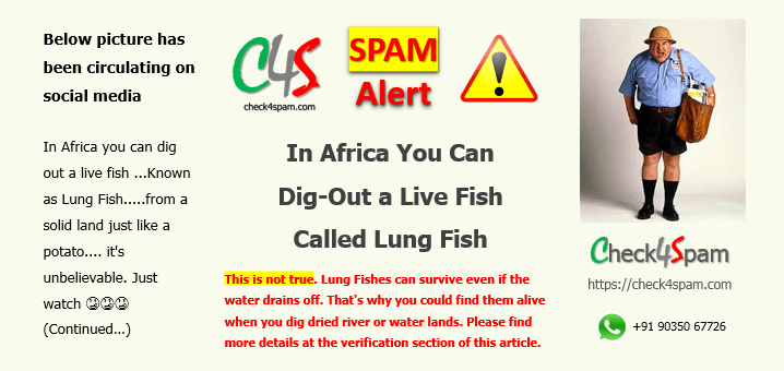 dig live fish called lung fish spam