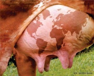 Cow with world map on its body - Spam