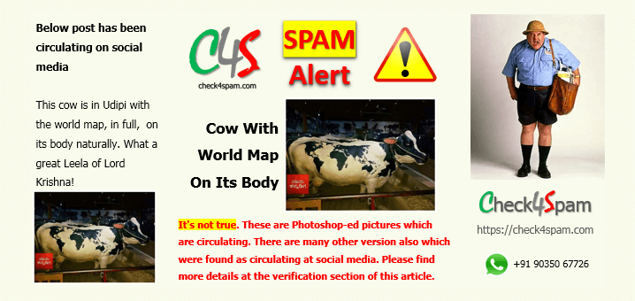 cow world map body Spam