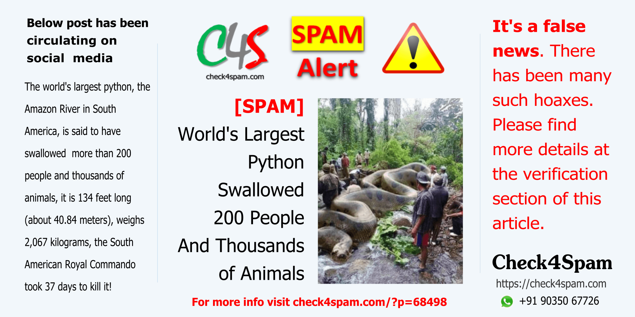 World's Largest Python Swallowed 200 People Thousands Animals - SPAM