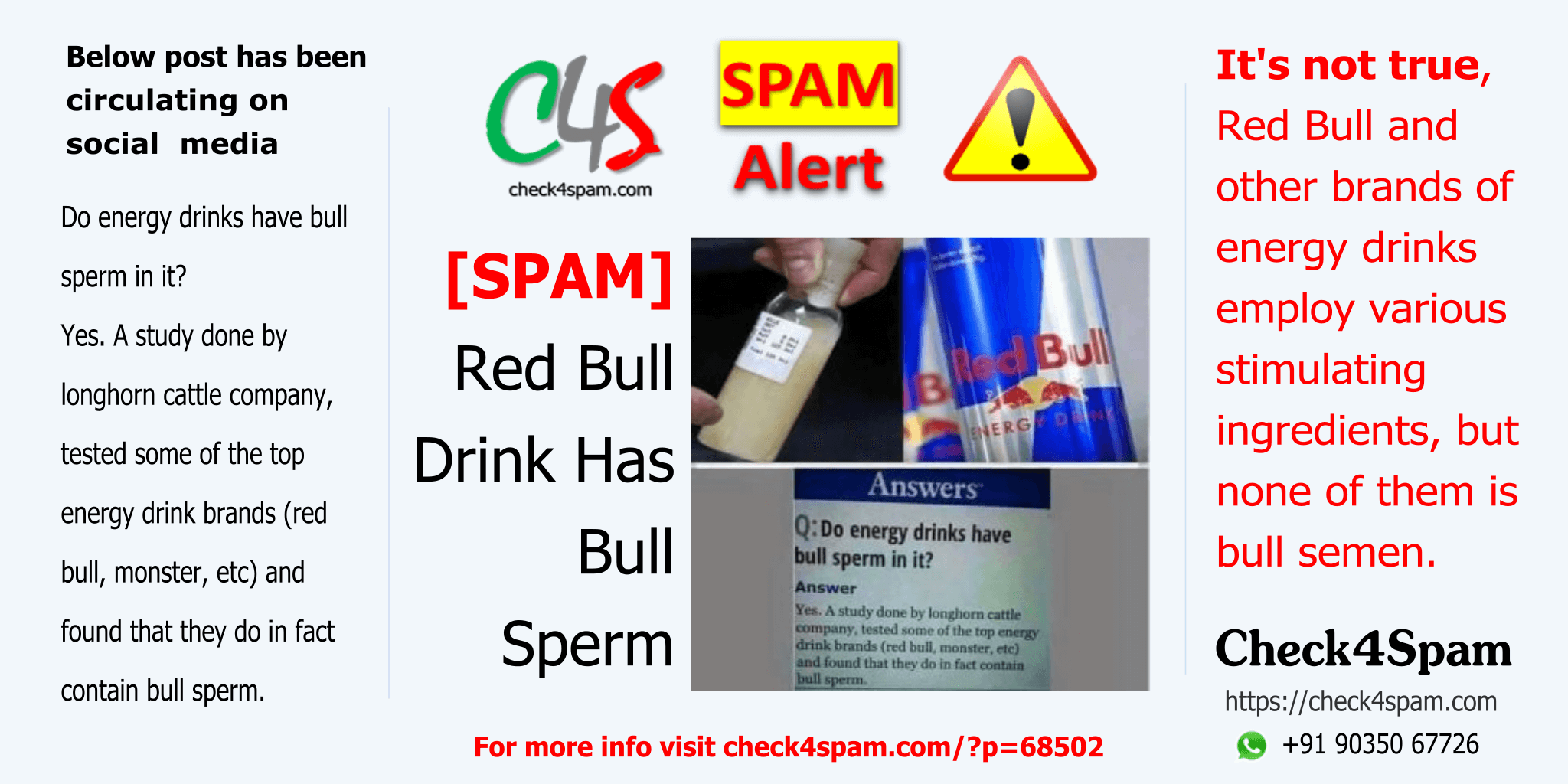 Red Bull Drink Bull Sperm - SPAM
