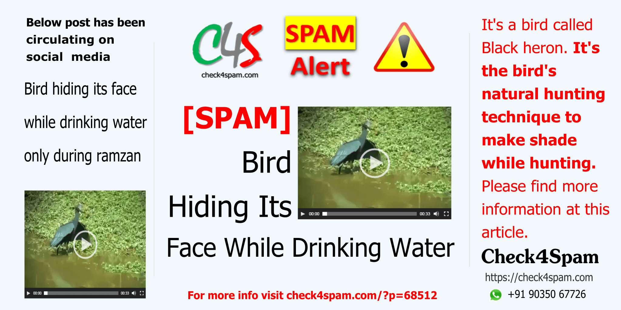 Bird Hiding Face Drinking Water Ramzan - SPAM