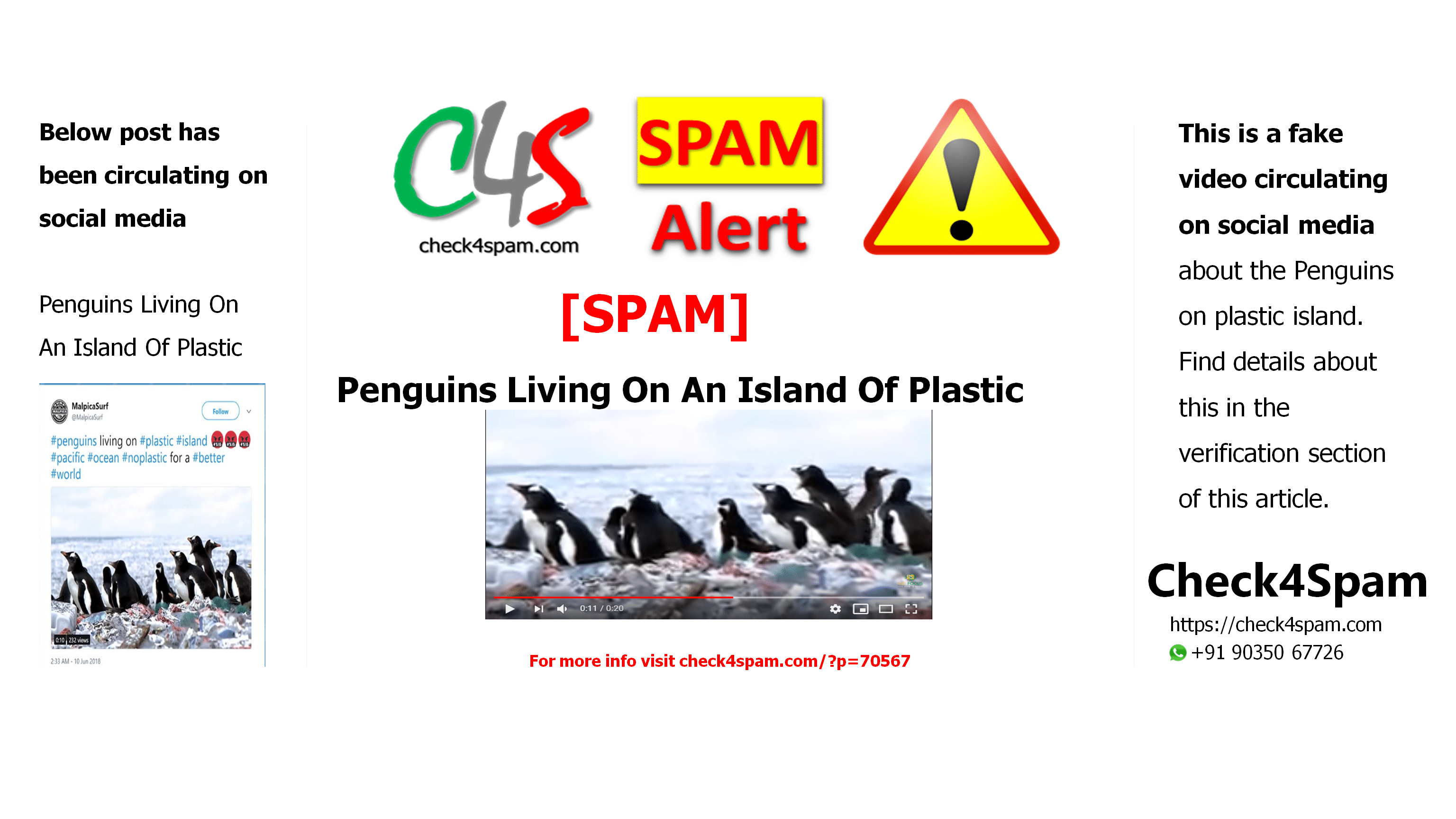 Penguins Living On An Island Of Plastic
