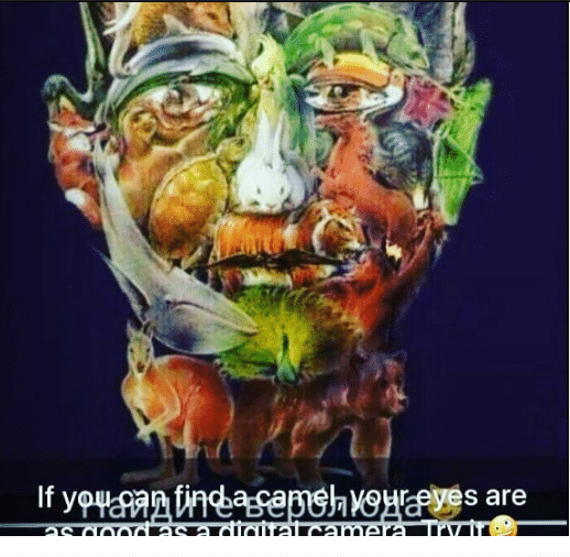 [SPAM] Those Who Find The Camel Will Be Far Away From Developing ...