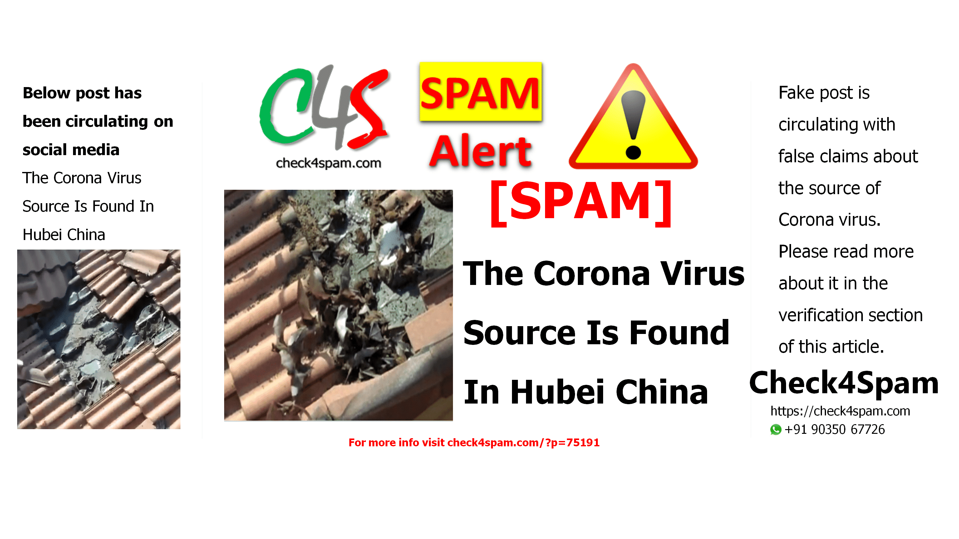 The Corona Virus Source Is Found In Hubei China