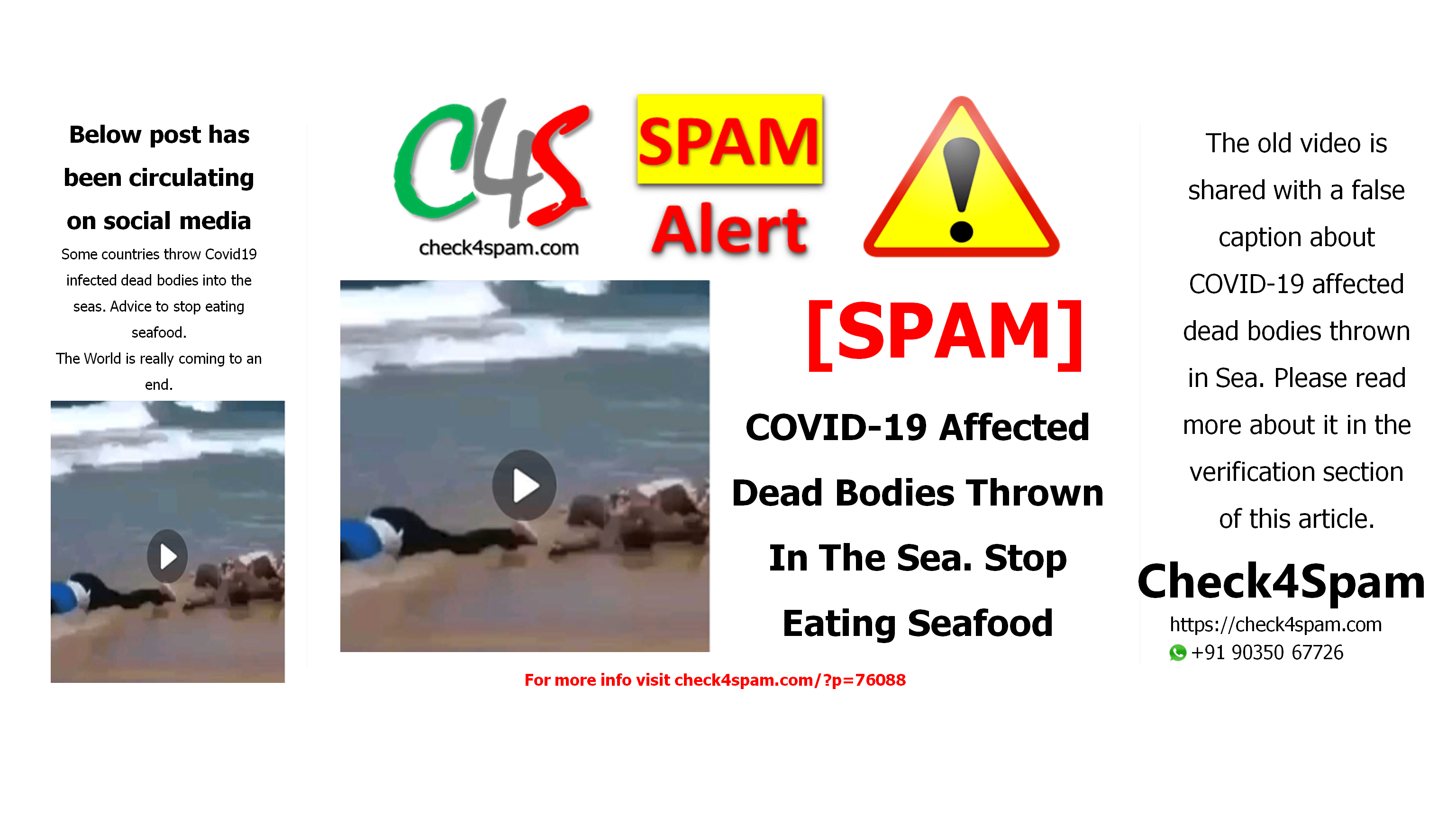 COVID-19 Affected Dead Bodies Thrown In The Sea. Stop Eating Seafood