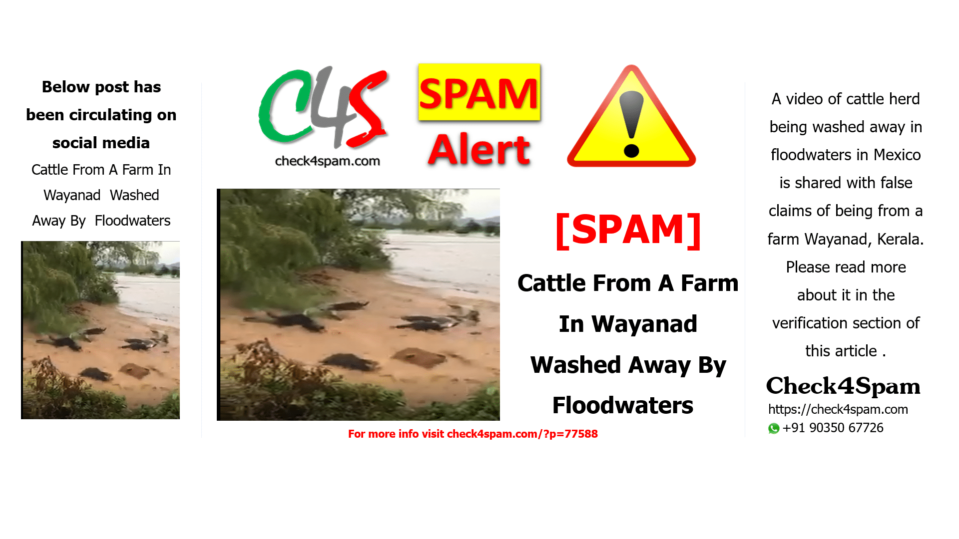 Cattle From A Farm In Wayanad Washed Away By Floodwaters
