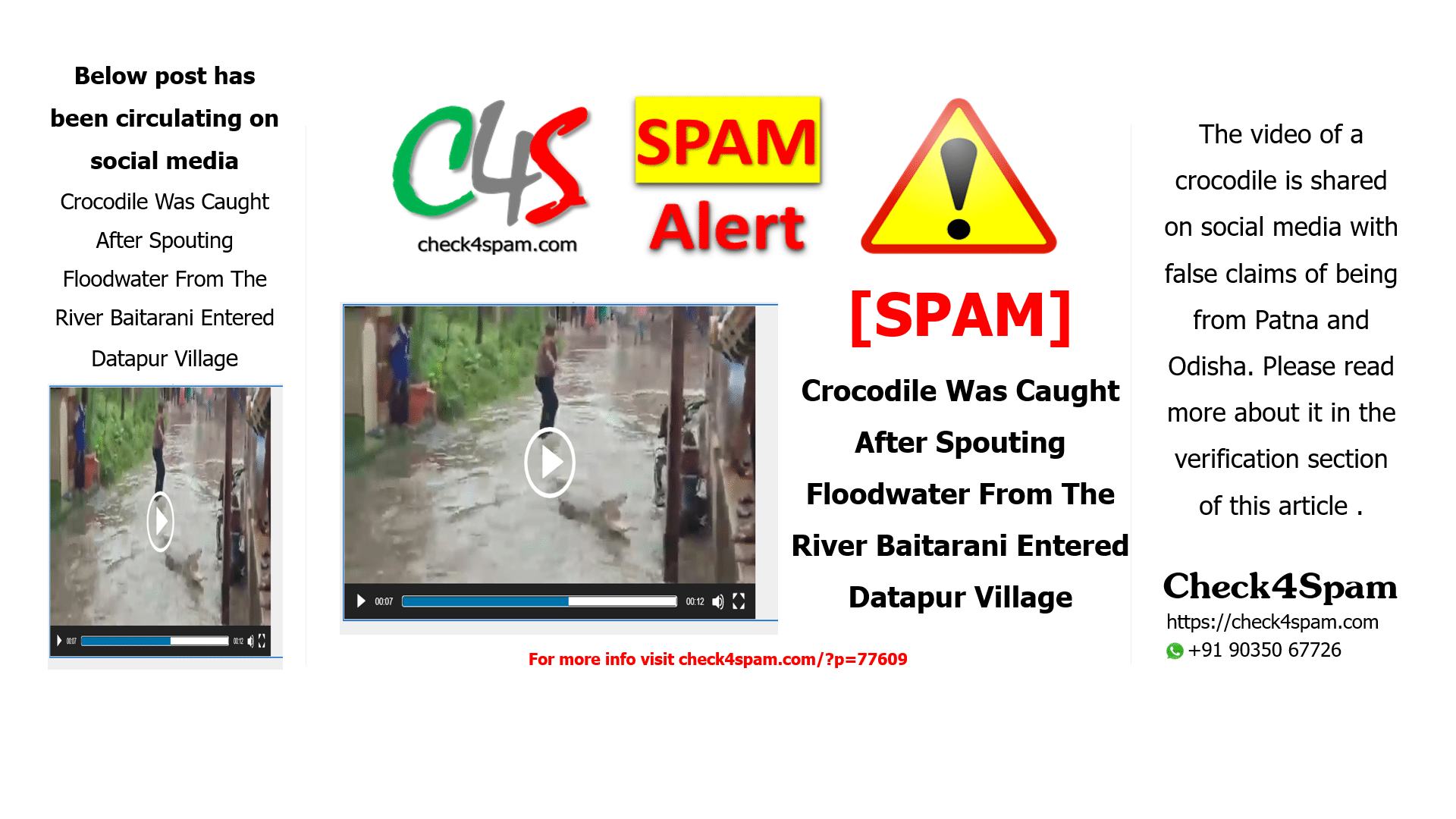 Crocodile Was Caught After Spouting Floodwater From The River Baitarani Entered Datapur Village