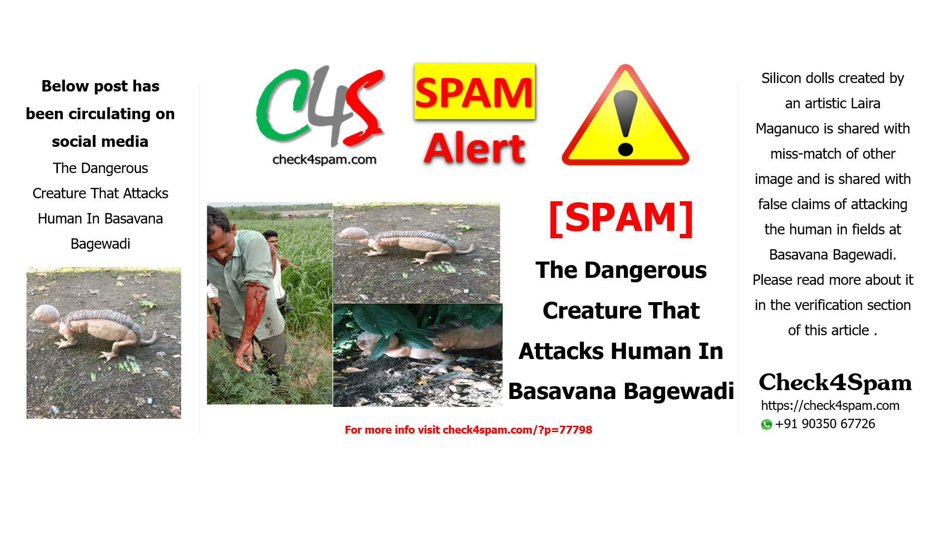 The Dangerous Creature That Attacks Human In Basavana Bagewadi