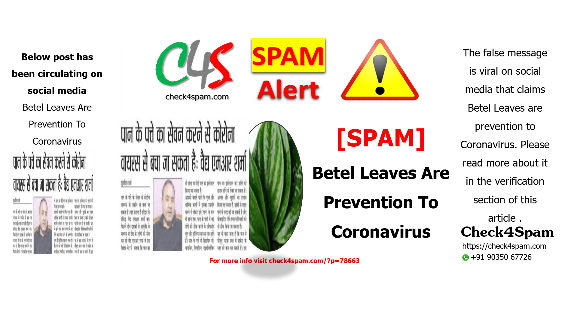 Betel Leaves Are Prevention To Coronavirus