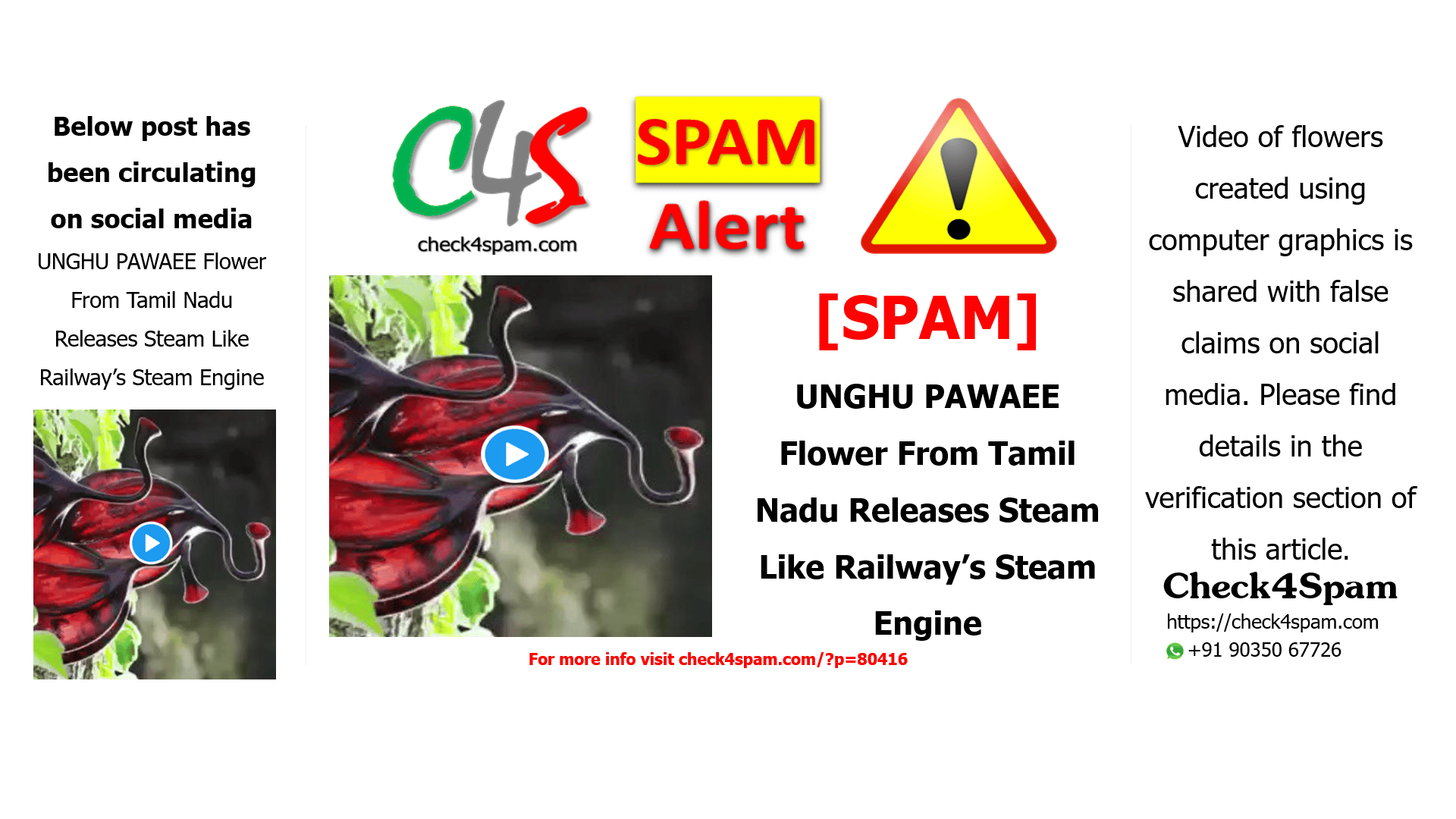 UNGHU PAWAEE Flower From Tamil Nadu Releases Steam Like Railway’s Steam Engine