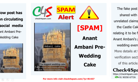 Anant Ambani Pre-Wedding Cake